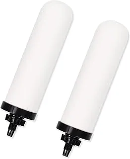 2 velas de filtro de agua de cerámica de 7 pulgadas, filtros de repuesto de filtro de agua de 7 pulgadas con carbón activado para sistema de filtro de agua por gravedad de encimera, sistemas de filtración de enfriador de agua