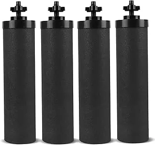Filtro de agua de repuesto con infusión de plata para sistema de filtros de bloque de carbono negro Berkey® BB9-2®, compatible con elementos de purificación de encimera de gravedad Berkey®
