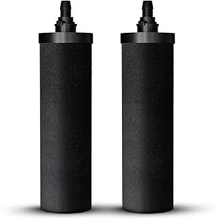 Filtros de repuesto de carbono certificados NSF (PF-4) – Paquete de 2 filtros para filtros de agua Phoenix Gravity, repuesto para Berkey® BB9-2, Waterdrop, Purewell y otros filtros de agua
