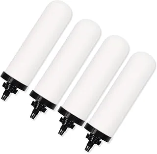 Paquete de 4 filtros de repuesto de cerámica para agua potable por gravedad de 7 pulgadas con carbón activado, filtro de repuesto de agua por gravedad de 7 pulgadas para filtro de agua de gravedad básica
