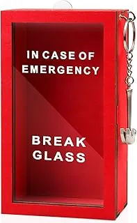 WenmthG Caja de Broma Divertida de Emergencia - Crea un frasco de ideas autodefinido con martillo, rompe en caso de emergencia - Decoración de escritorio - Regalo gracioso personalizado para amigos y